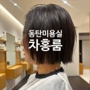 차미용실 | 동탄미용실 차홍룸동탄점 클리닉 + 커트 유진 디자이너 후기