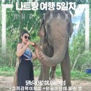 코끼리동물병원 | 나트랑 여행코스ㅣ5일차 원숭이섬&amp;화란섬 (+코끼리먹이주기체험 +원숭이한테 물린 썰)