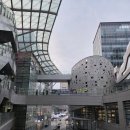 세종회관 | 세종시 한우 맛집 나성동 명품세종회관 솔직후기