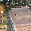 [完] 메이필드호텔 숙박 리뷰 (객실, 캐슬테라스 조식)