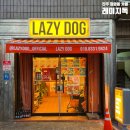 (주)레이지독 이미지