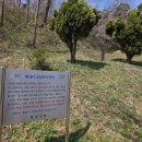 말리카센터 | [경기,등산] 화성 봉화산 등산! 화성당성-구봉산-봉화산-신흥사-원점! 산보다 사찰이 더 볼게 많다! 후기!