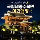 국립세종수목원 야간개장 다녀온 후기✨아이들과 밤산책하기 좋은 세종 나들이