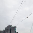 처인고등학교 | 용인 처인cc (처인 체력단련장)