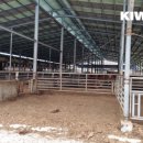 초원태양광발전소 이미지