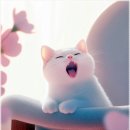 샤네일 - 부안군 오리정로 150 | 샤네일