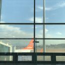 자유부인회센타 | 2020, 11월제주 (히비안도코하쿠, 색달해변, 금오름, 사계해변 , 올레시장)