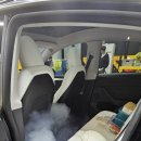 C&B | 운정 손세차 리뷰 테슬라 모델Y C&amp;B디테일링스팀세차