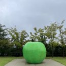 원주 1박 2일 여행 코스 : 뮤지엄산, 소금산그랜드밸리, 원주혁신도시, 강원감영