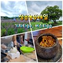 영농조합법인 행복한 타조농장 | 정읍농뚜레일 정읍 허브원 라벤더, 행복한 타조농장 외3곳