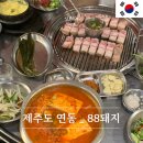 바오젠 | 제주공항근처 오겹살 맛집 88돼지 흑돼지 내돈내산 후기 추천