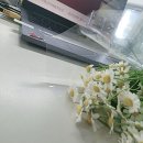 [금정구평생학습관] 부산 속 들여다보기 | [금정구평생학습강좌] 미소강사의 우리가 사랑한 영화 속 재즈 14차시 금정신중년더채움학습관