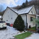 화이트벨리 이미지