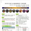 2017년 DV8 & BRUNSWICK CUP(강원원주대회결과) 이미지