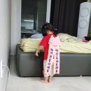 금와사 이미지