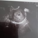 이지은산부인과의원 이미지