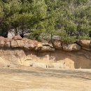 흙이랑 나무랑 | 에버랜드 워킹 사파리 후기 :: 금요일 방문, 이용권 만 원대 구매 할인 꿀팁 공유