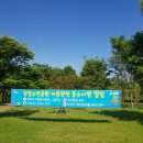 강청수변공원축구장 이미지