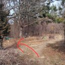 상곡소류지 이미지