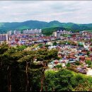 수원-1040 이미지
