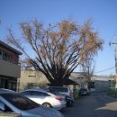 덕도3리 이미지