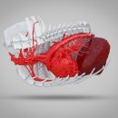 도안동물병원 이미지