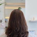 헤어매직 이미지