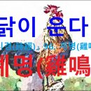 시경 이미지