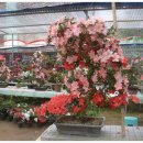 녹원농장 이미지