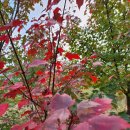 우리농원 이미지