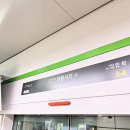 싸이레이스 | 2024 나이트레이스인 부산 후기