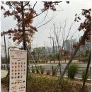 홀리앤졸리 - 화성시 시청로202번길 86 | 홀리앤졸리