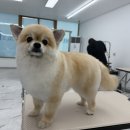 에이스교육 이미지