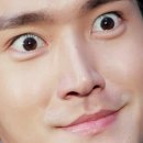 케이크퍼스 이미지