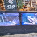 꿈돈168 - 익산시 고현로7길 6 | 꿈돈168