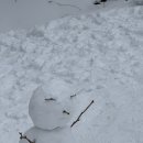 제일목장 | 겨울 국내 가볼만한 곳 | 강원도 대관령 삼양목장 삼양라운드힐 매점