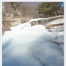 포도나무펜션 이미지