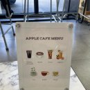 애플헤어 이미지