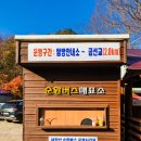실록원 | 2024년 11월 20일 단풍이 다 떨어져 아쉬웠던 내장산 신선봉(763m) 가을 산행(우화정 - 내장사 - 은적암...