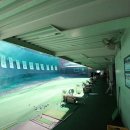 그린골프연습장(실외) 이미지