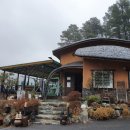 금광레이크펜션 | 안성 금강레이크펜션 내돈내산 솔직후기