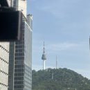 생각보다 괜찮았던 <서울 렉스 호텔> 내돈내산 후기