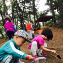 괴안어린이집 이미지