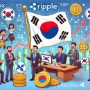 넥소 (NEXO)
