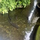 기전마을회관 | 베트남 다낭 여행, 오행산, 마블마운틴 가볼 만한 곳 추천