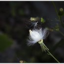 형제봉길 이미지