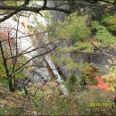 구룡목장 이미지