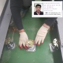 오에이 이미지