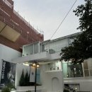 강남 아기사진, &lt;폴스베이비&gt; 형제스냅 촬영 후기