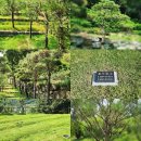 수종목장 이미지